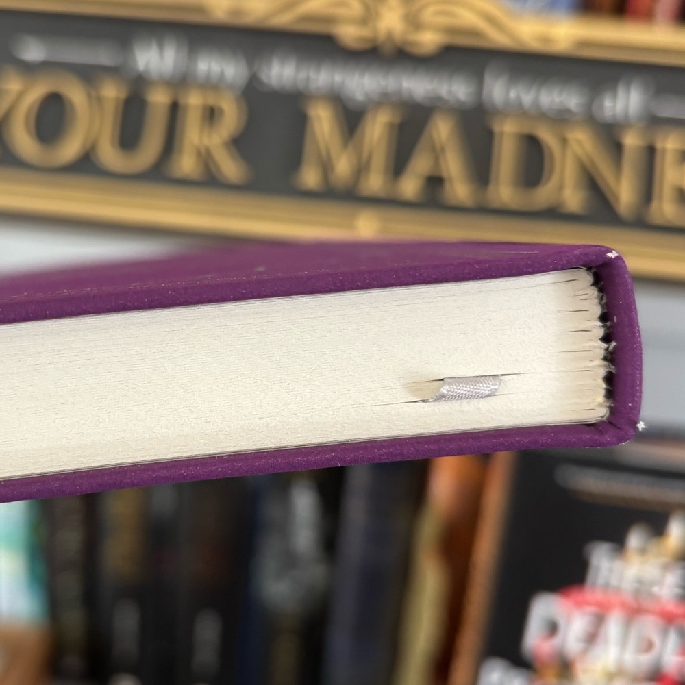 Mark Twain 'The Prince & The Pauper' (Clothbound Book) - Picture 7 of 7